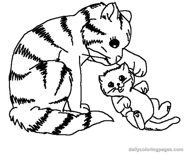 Gato #4354