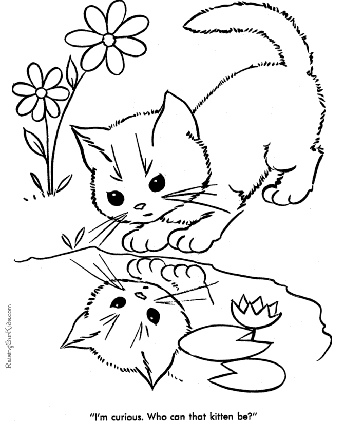 Gato #4359