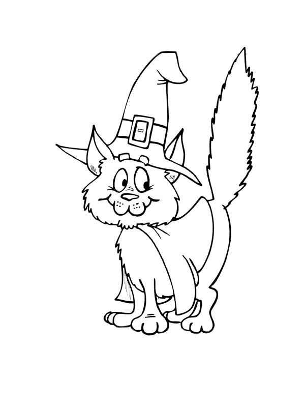 Gato #4361