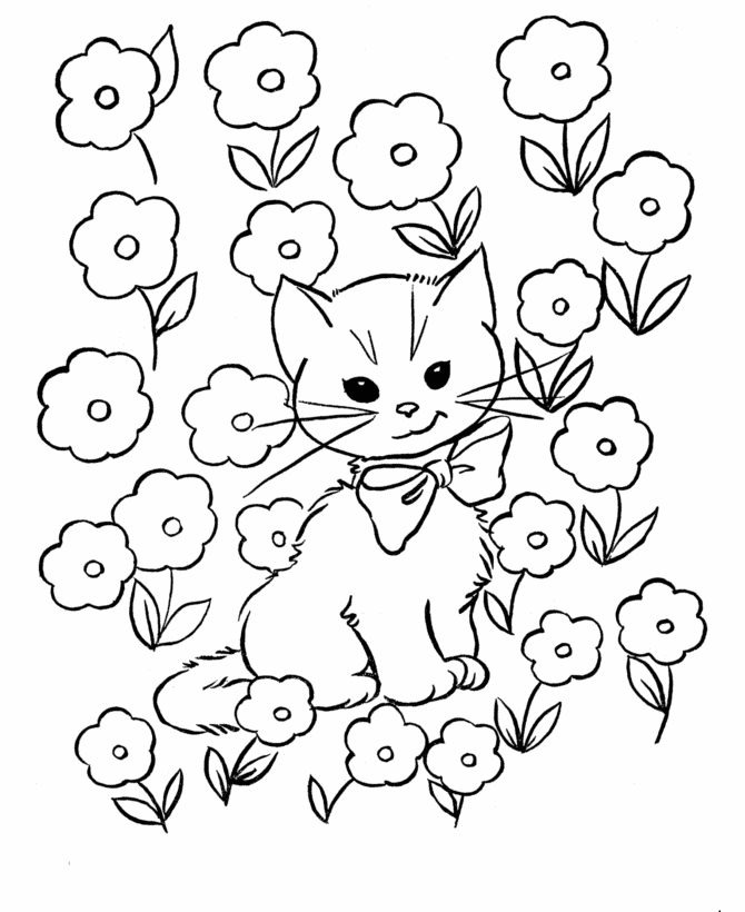 Gato #4366