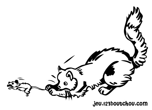 Gato #4368