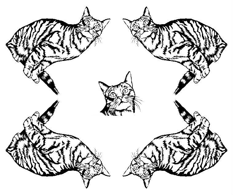 Gato #4370