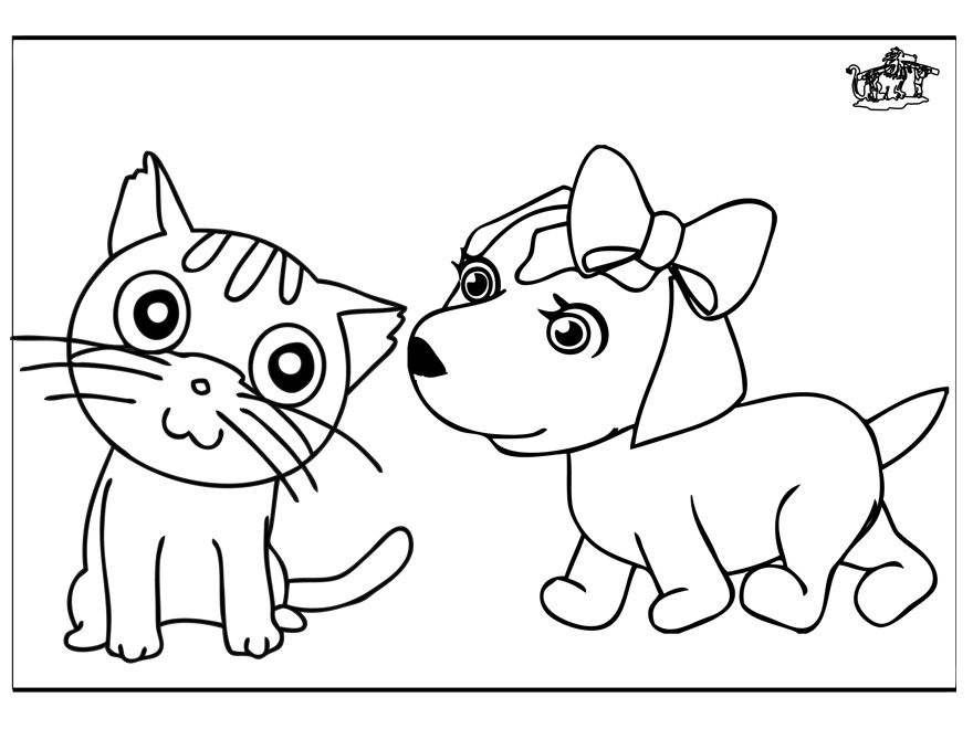 Gato #4383