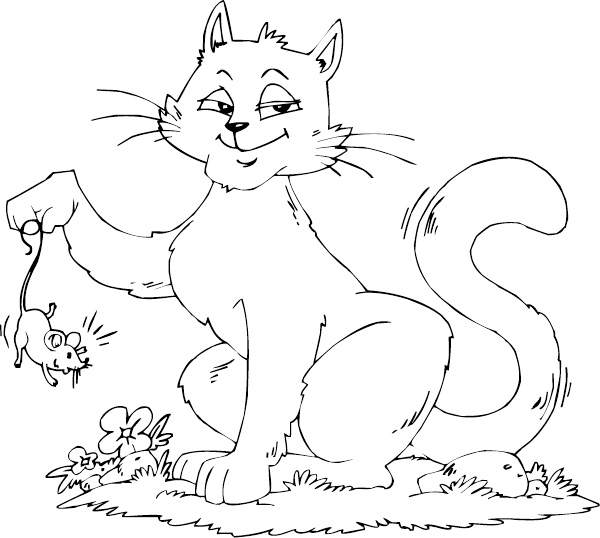 Gato #4385