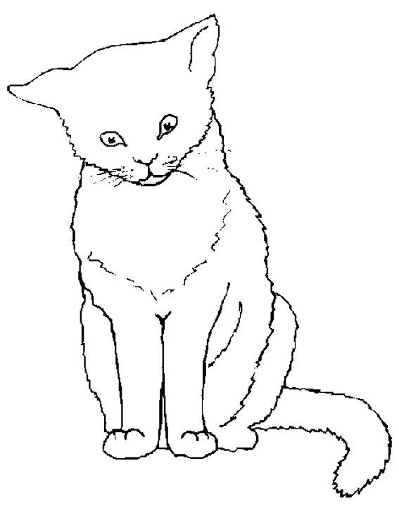 Gato #4386
