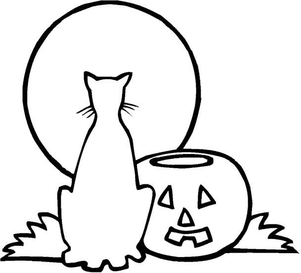 Gato #4387