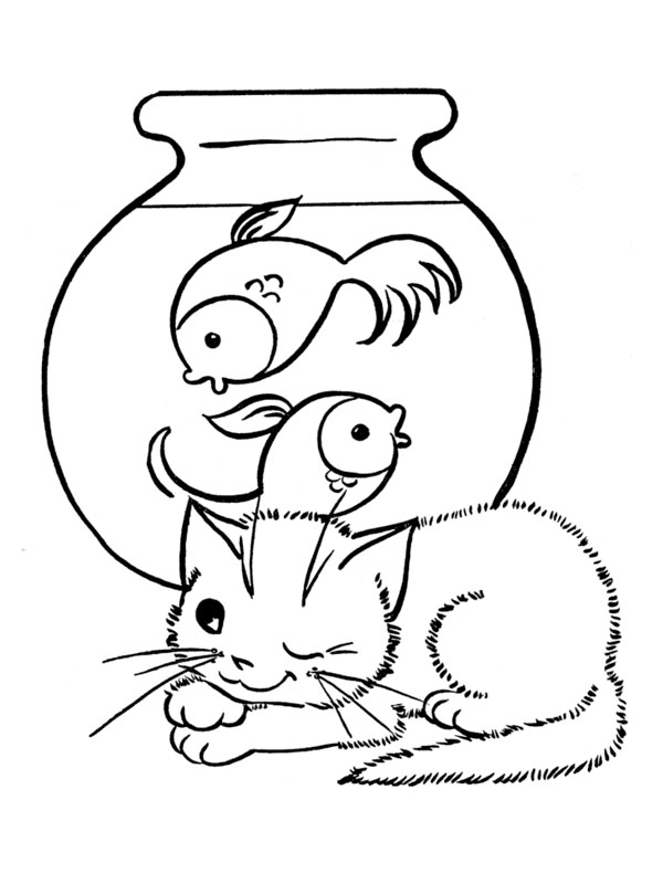 Gato #4390
