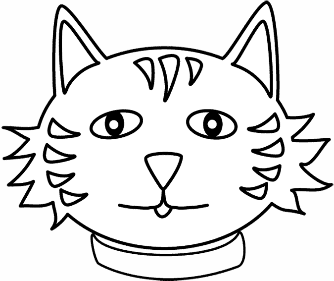Gato #4402