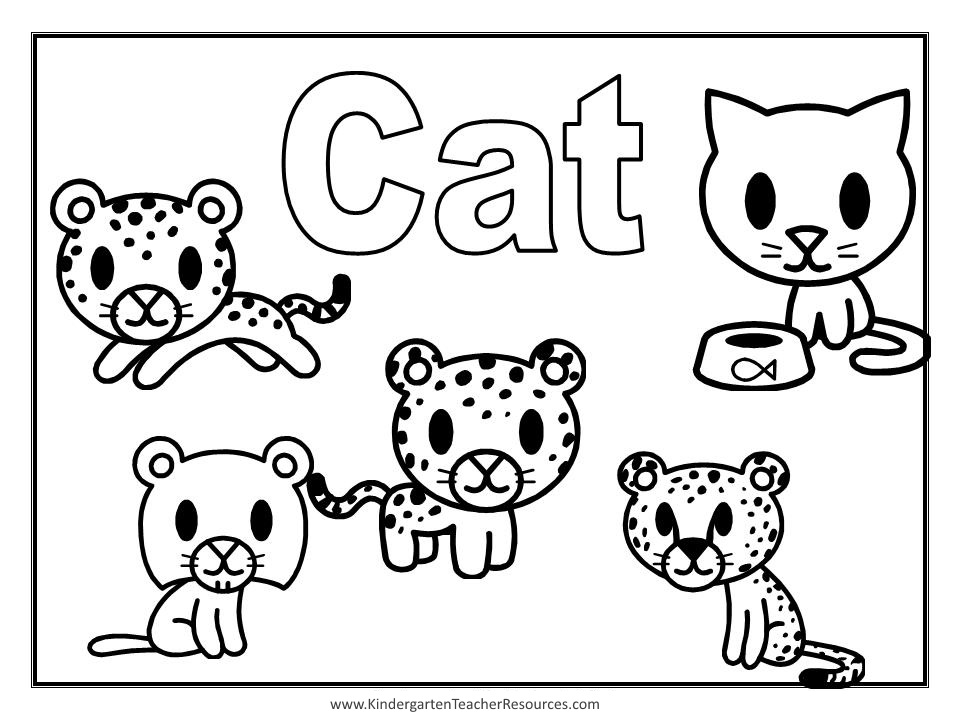 Gato #4403