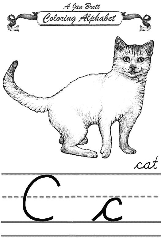 Gato #4405