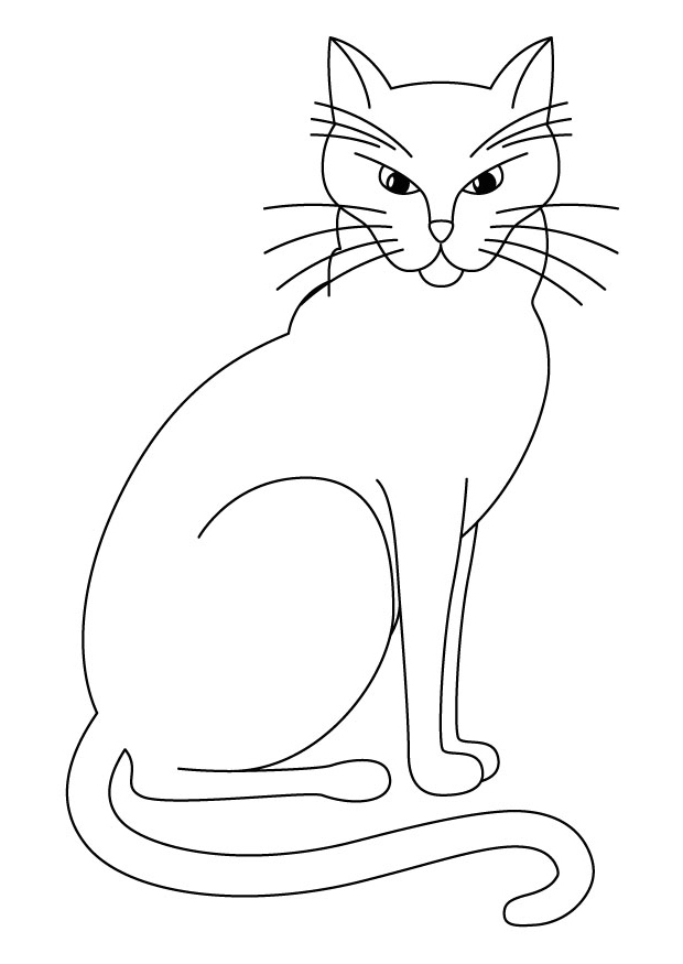 Gato #4410