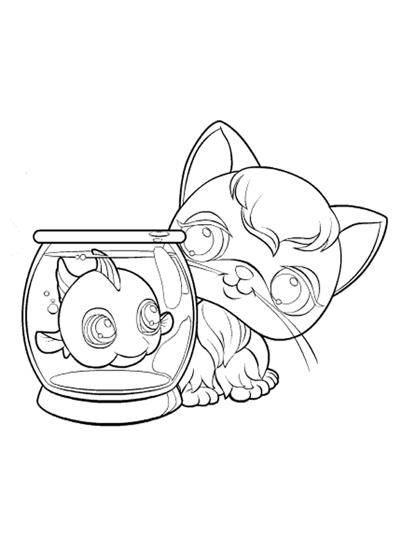 Gato #4412