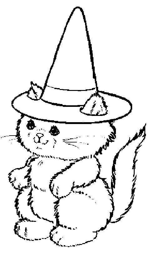 Gato #4413