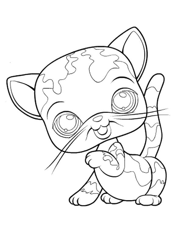Gato #4418