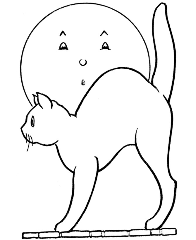 Gato #4421