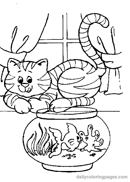 Gato #4422