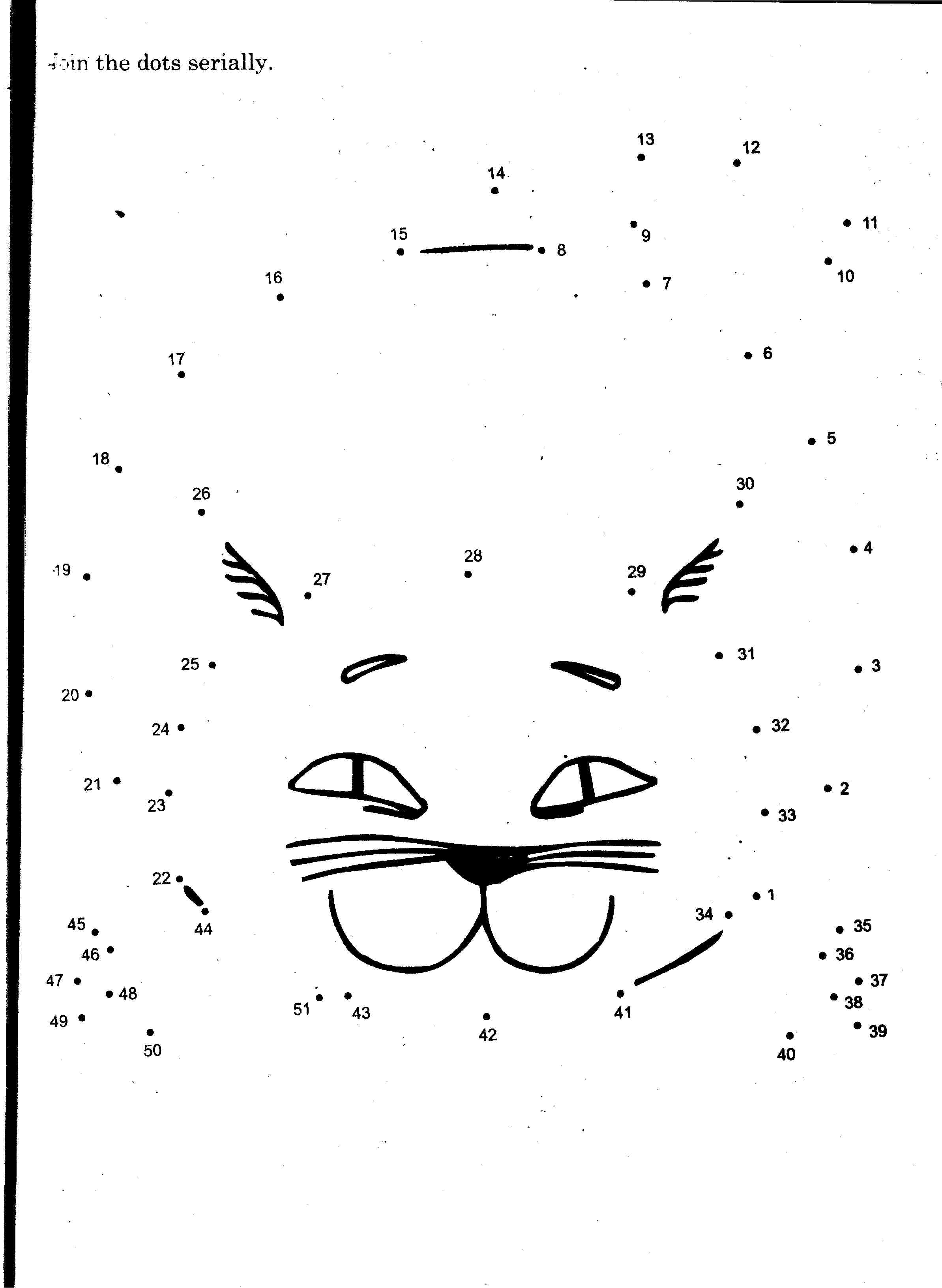 Gato #4426