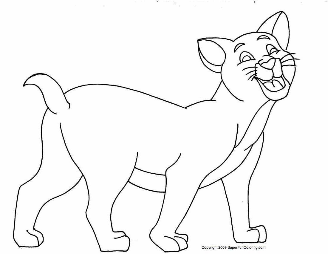 Gato #4427