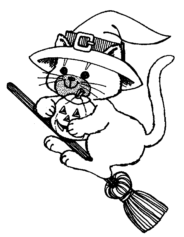 Gato #4430
