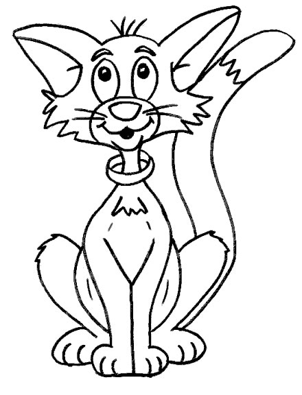 Gato #4433