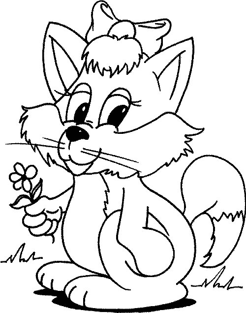 Gato #4435