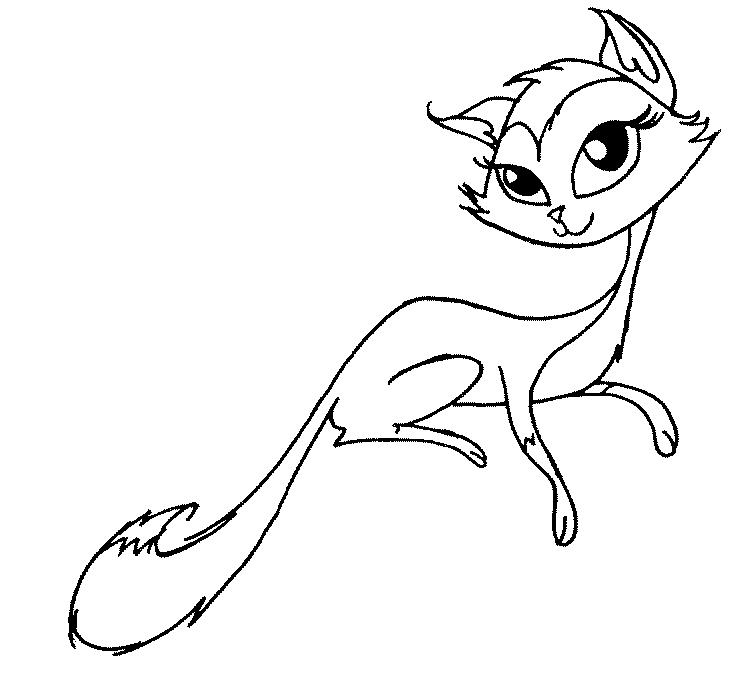Gato #4437
