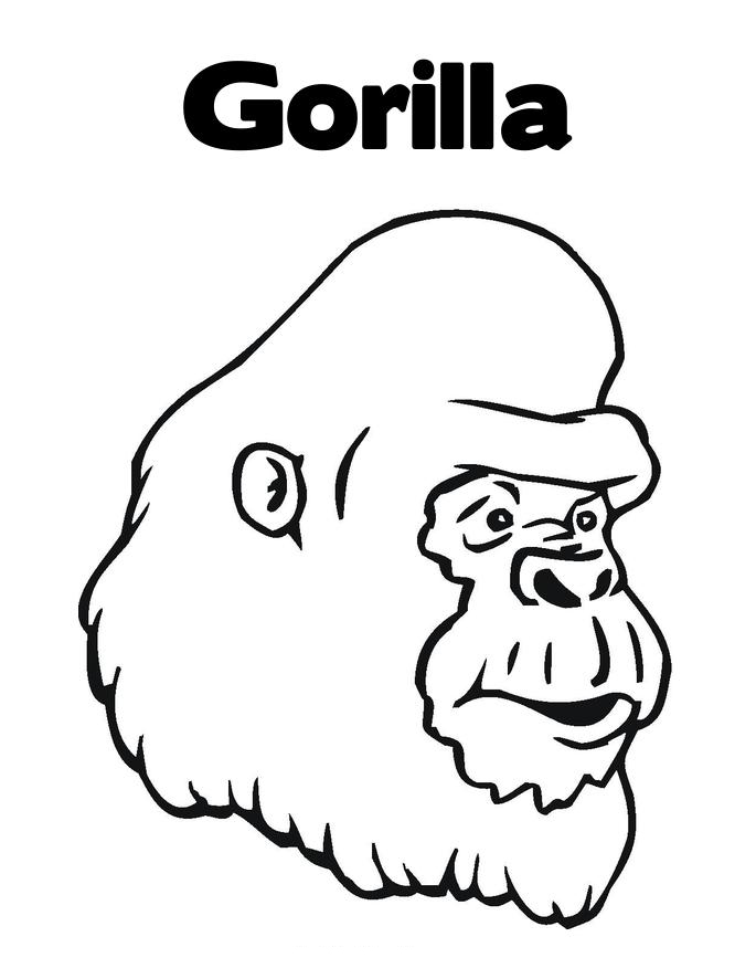 Gorila #4461