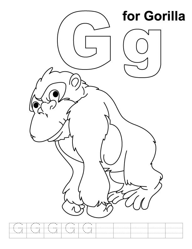 Gorila #4482