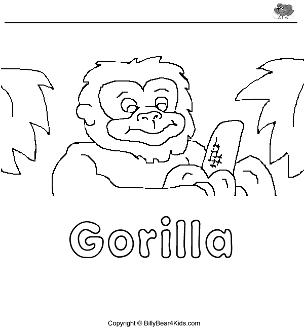 Gorila #4510