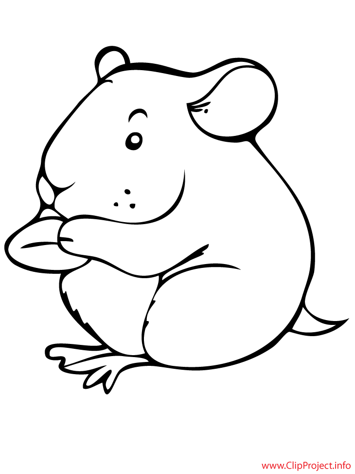 Hámster #4580