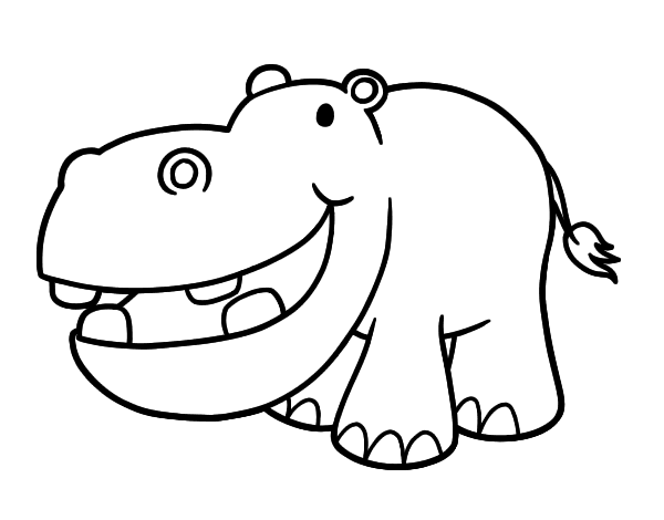 Hipopótamo #4715