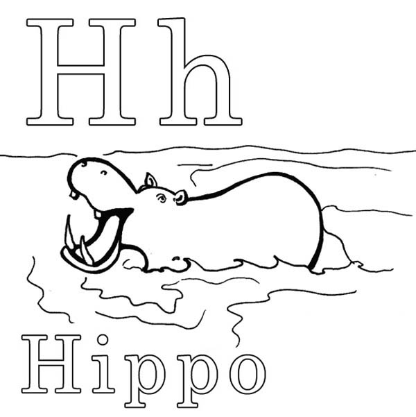 Hipopótamo #4738