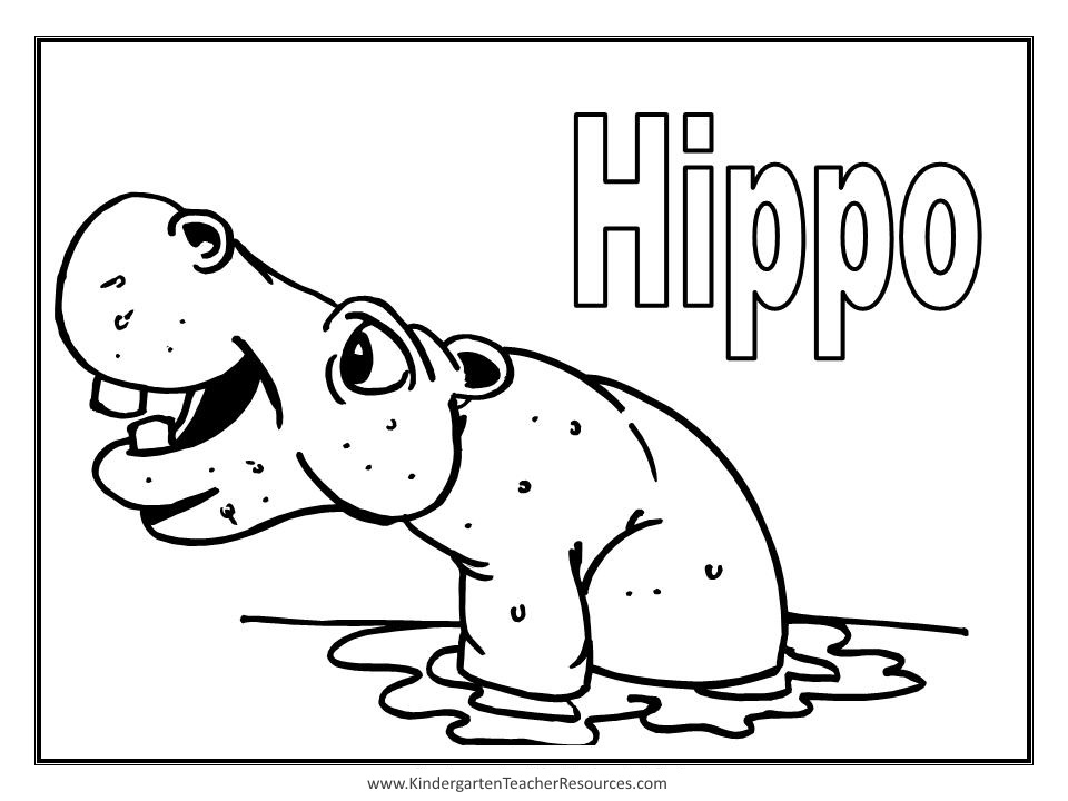Hipopótamo #4756
