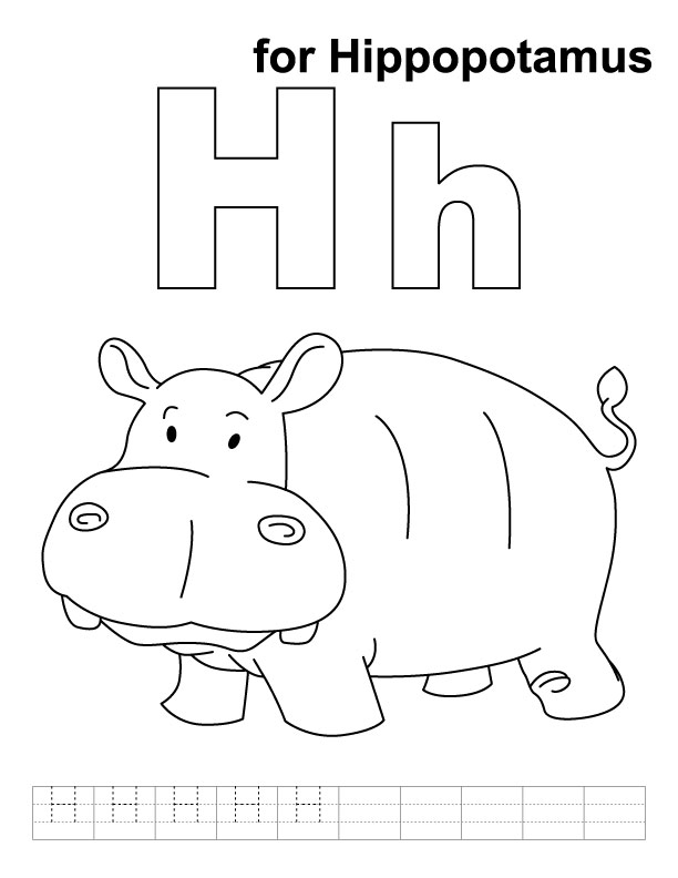 Hipopótamo #4761