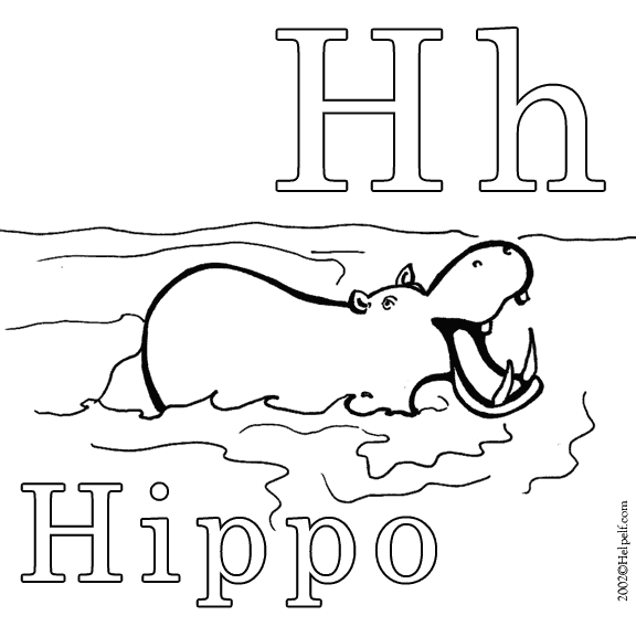 Hipopótamo #4794