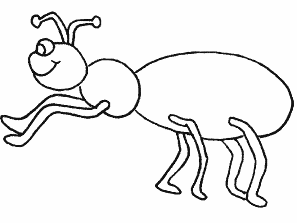 Hormiga #4813