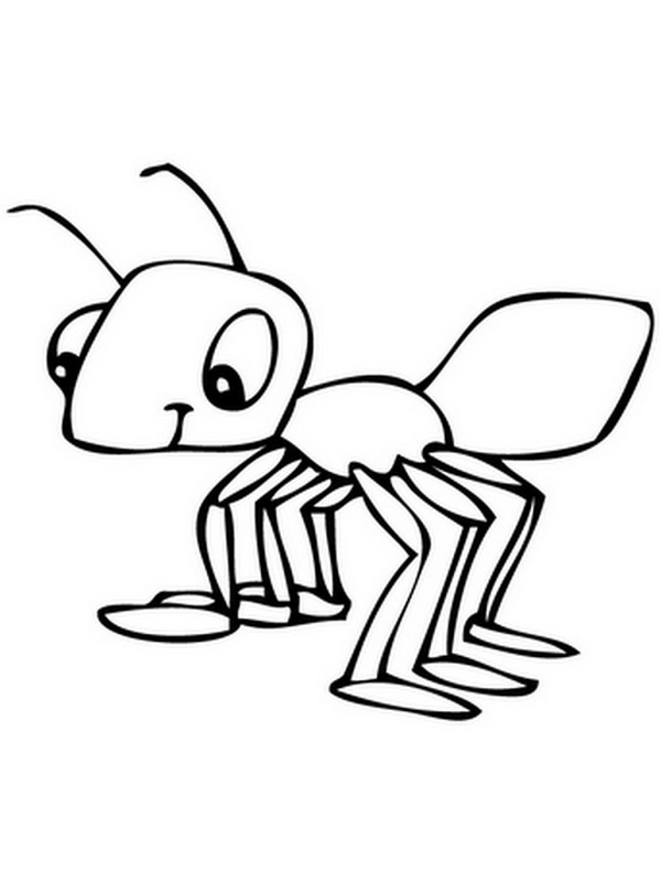 Hormiga #4816