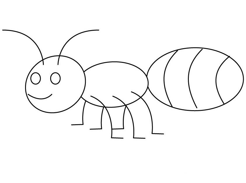Hormiga #4817
