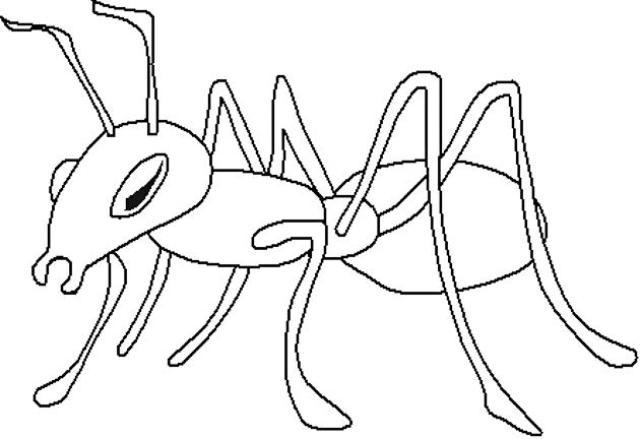 Hormiga #4831