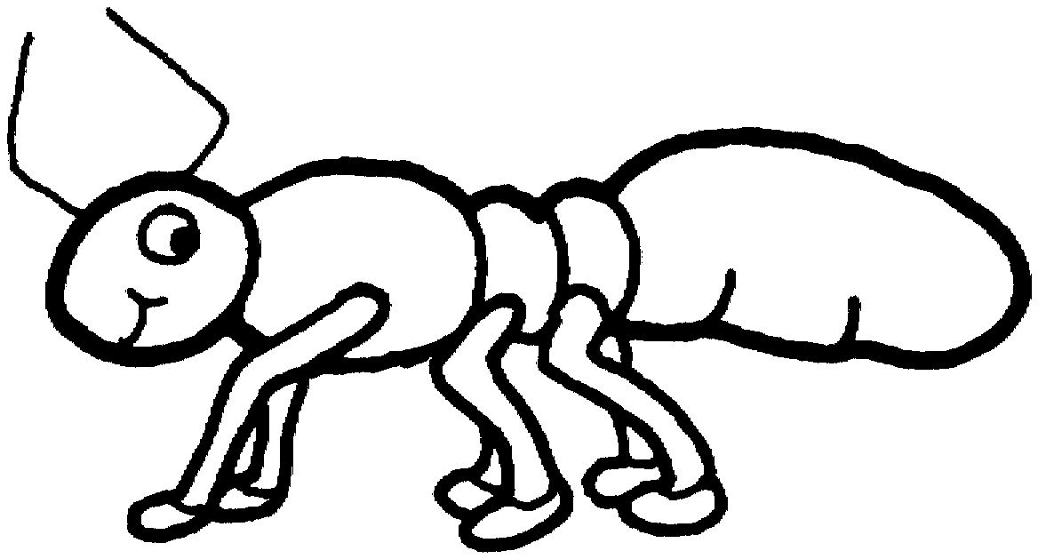 Hormiga #4834