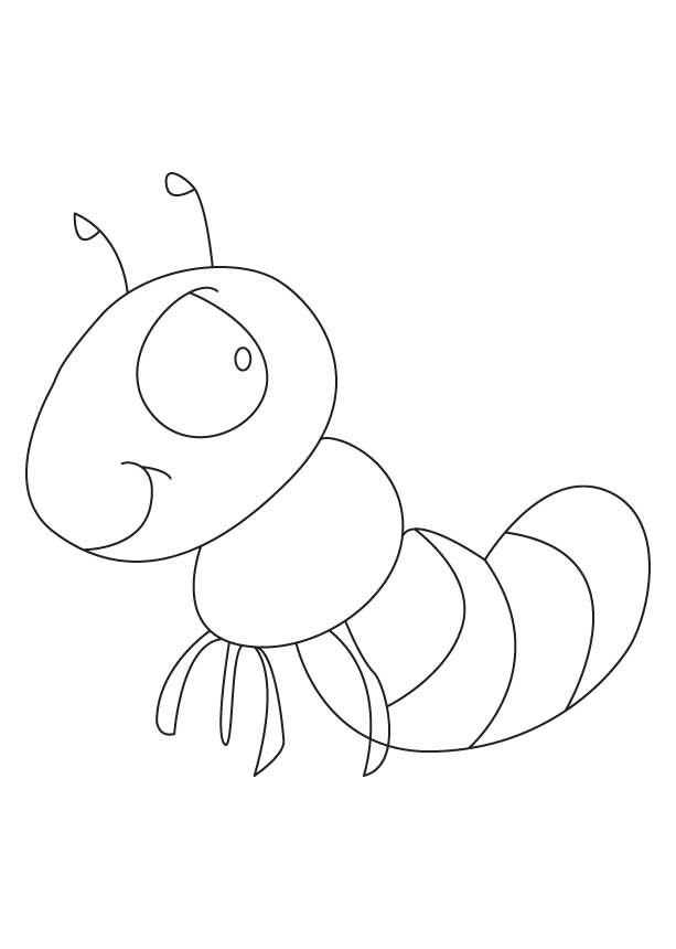 Hormiga #4870