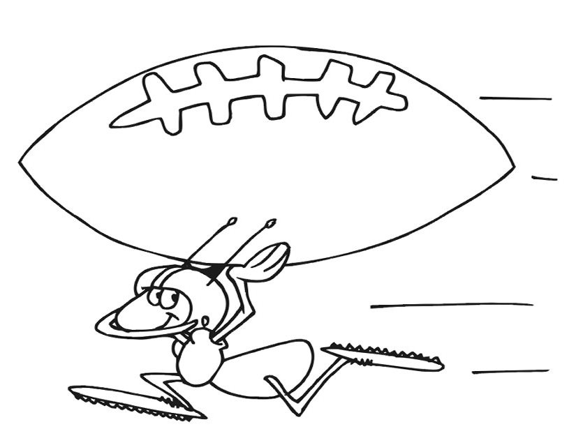 Hormiga #4888