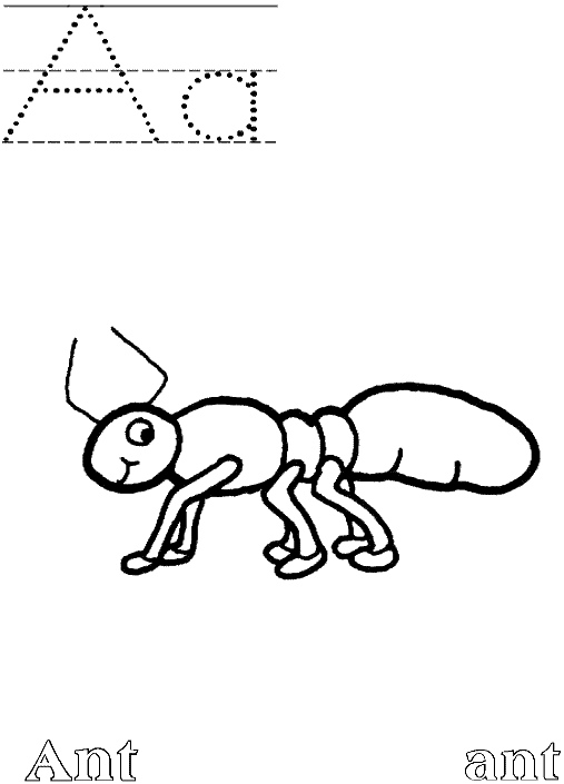 Hormiga #4891