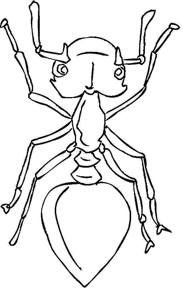 Hormiga #4893