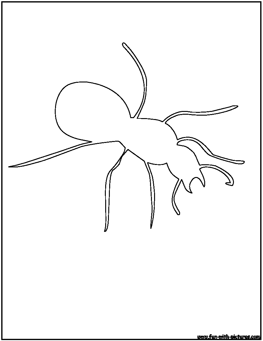Hormiga #4897