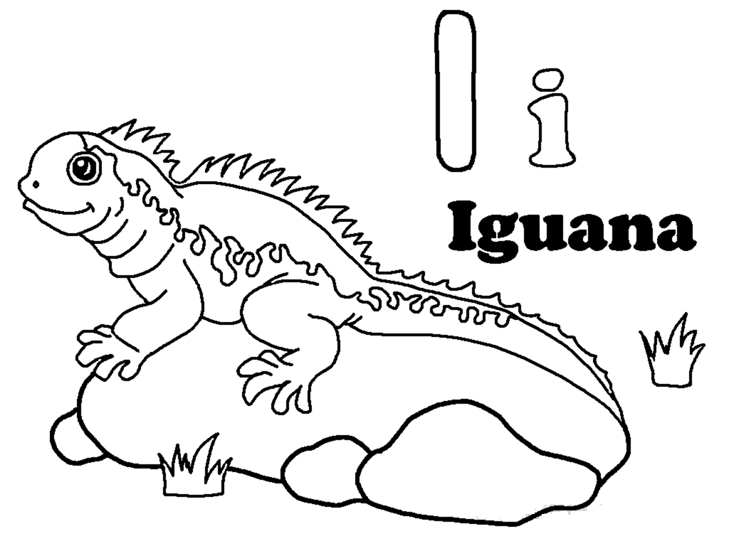 Iguana #5068