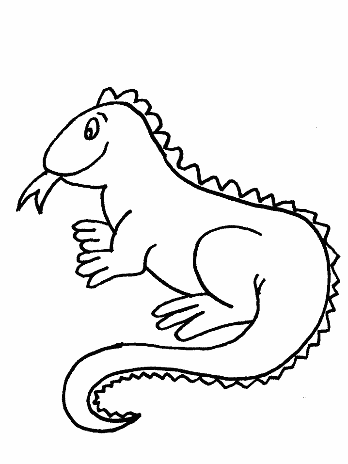 Iguana #5069