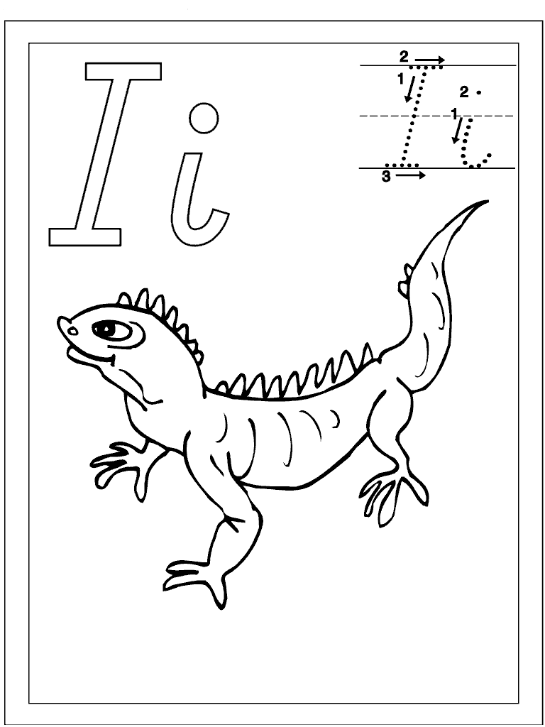 Iguana #5085