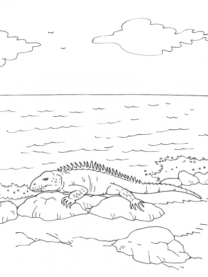 Iguana #5088