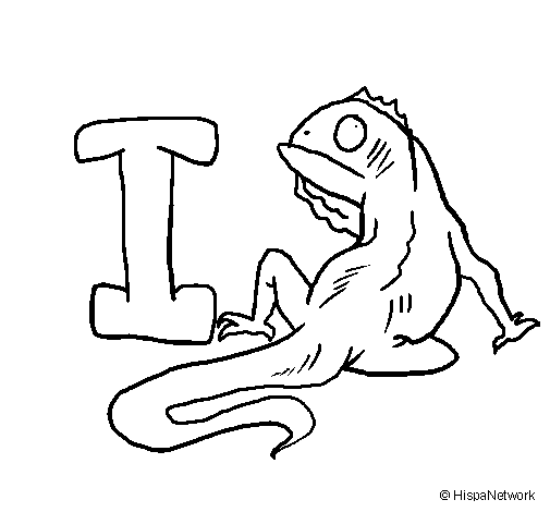 Iguana #5090